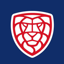 Český florbal logo