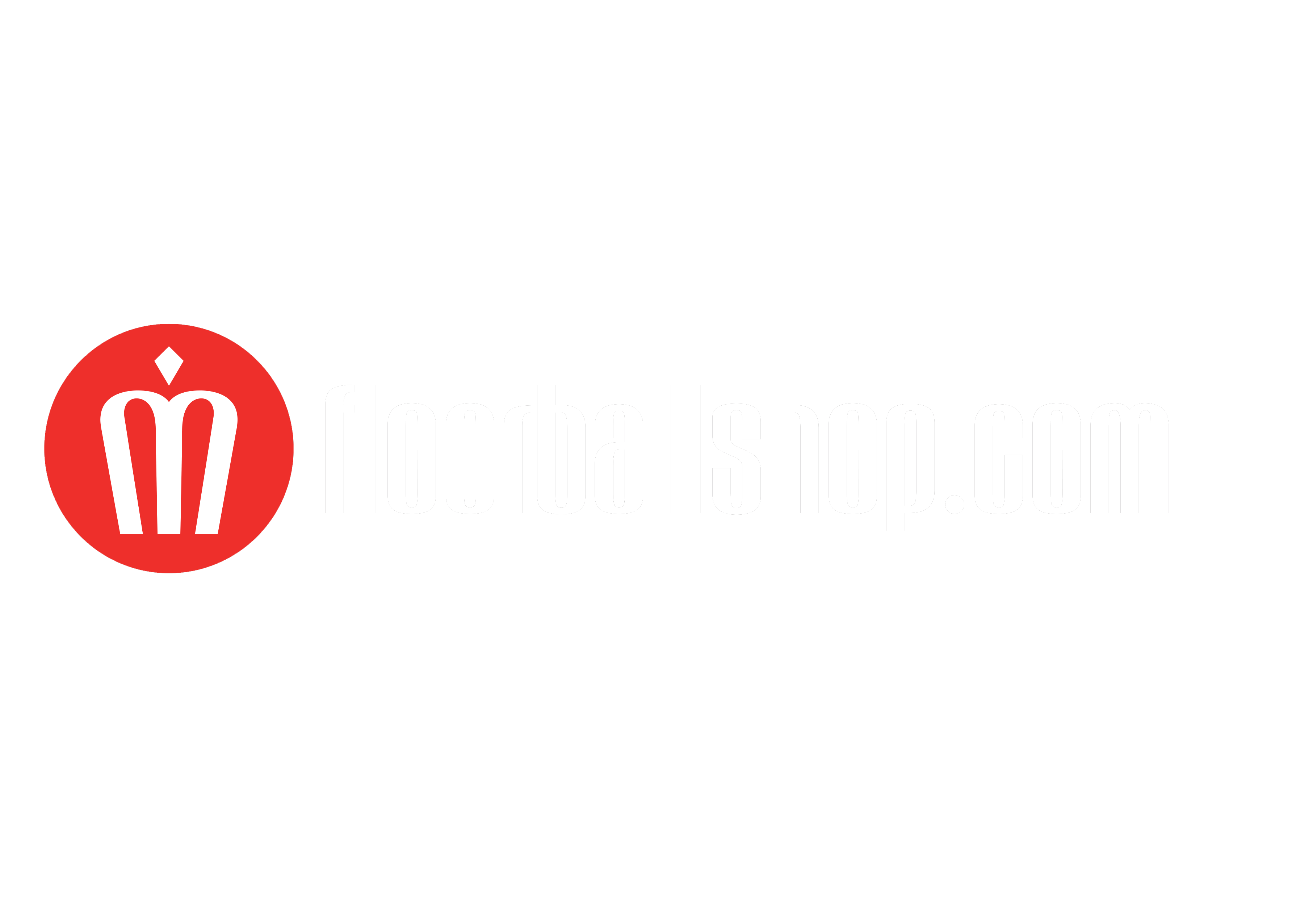 floorballshop.com logo